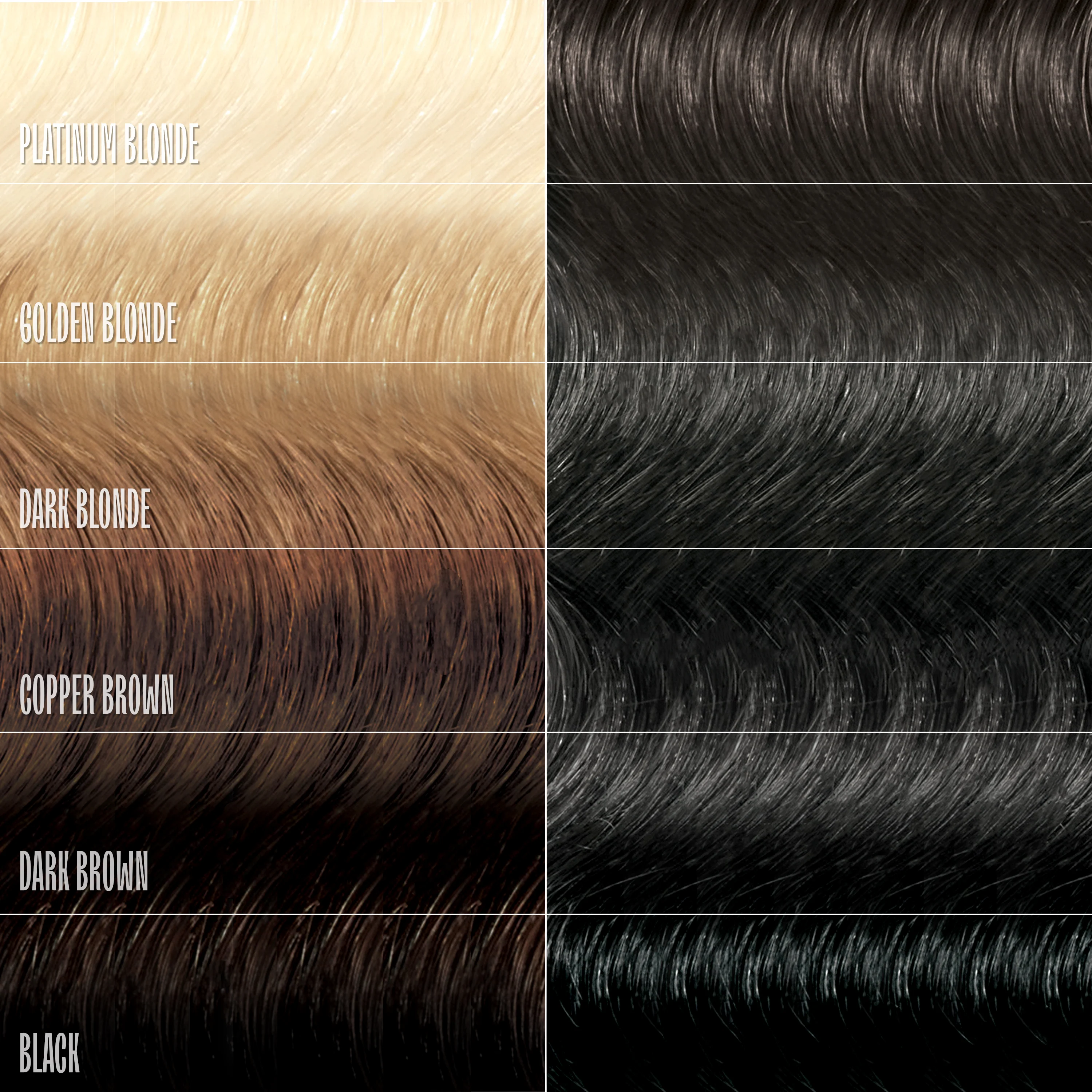 Black Velvet Healthy Color Duo - Image 5