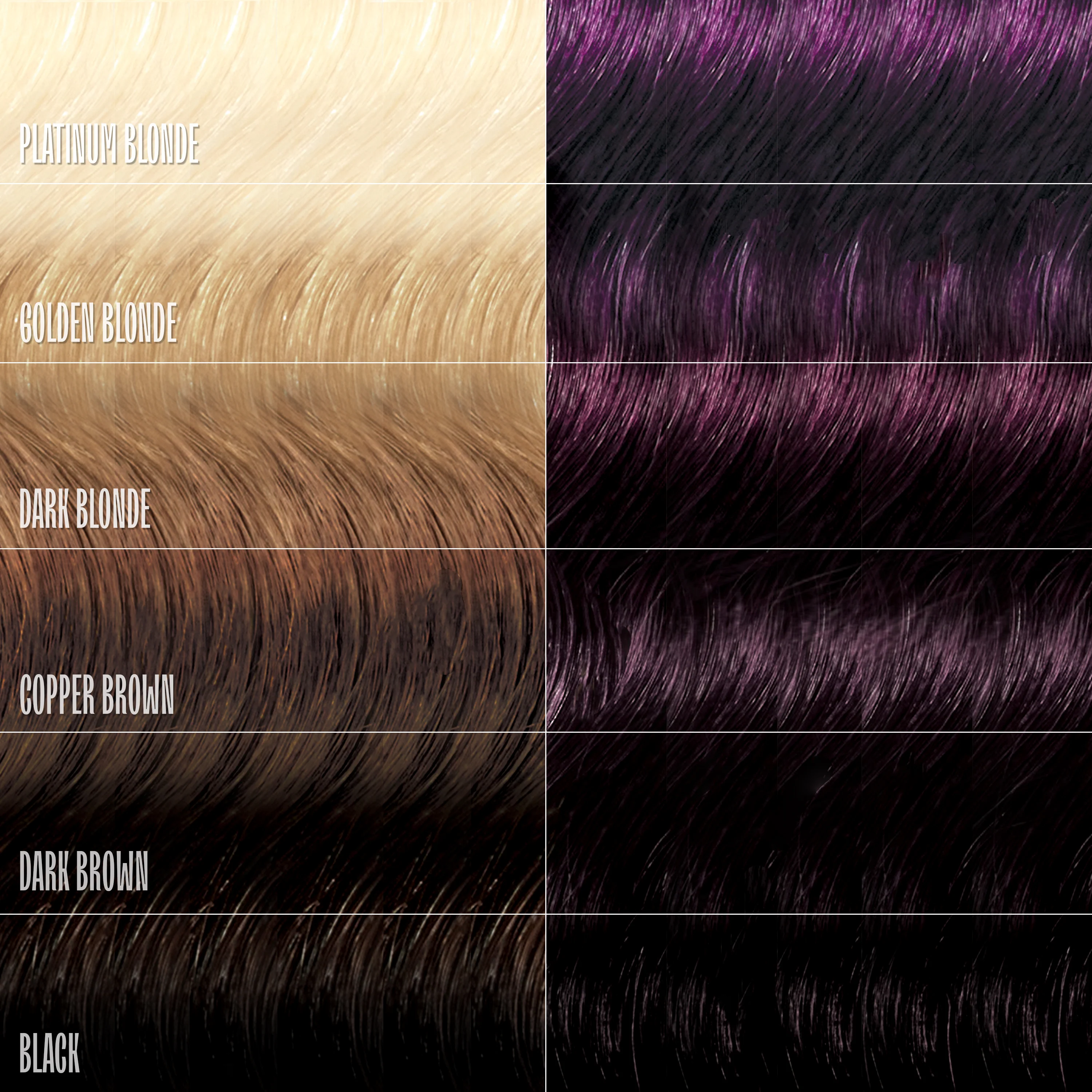 Royal Plum Healthy Color Duo - Image 5